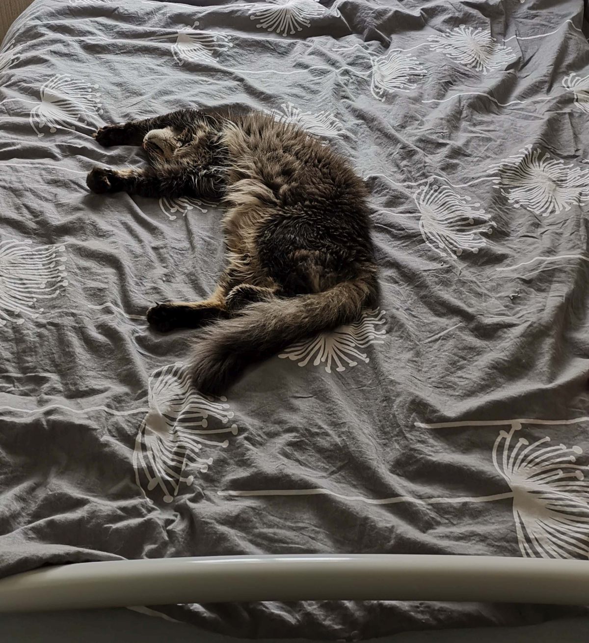 Całe łóżko moje :)