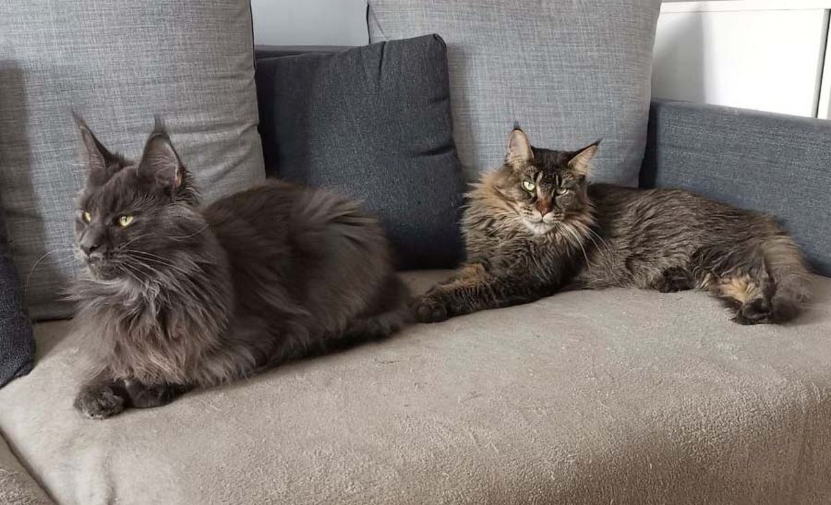 To nic, że zajmujemy prawie całą kanapę ;)