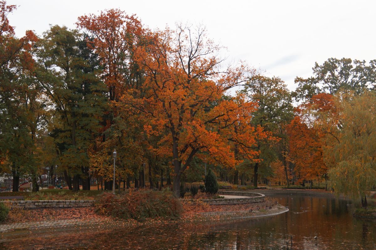 Grudziądzki park